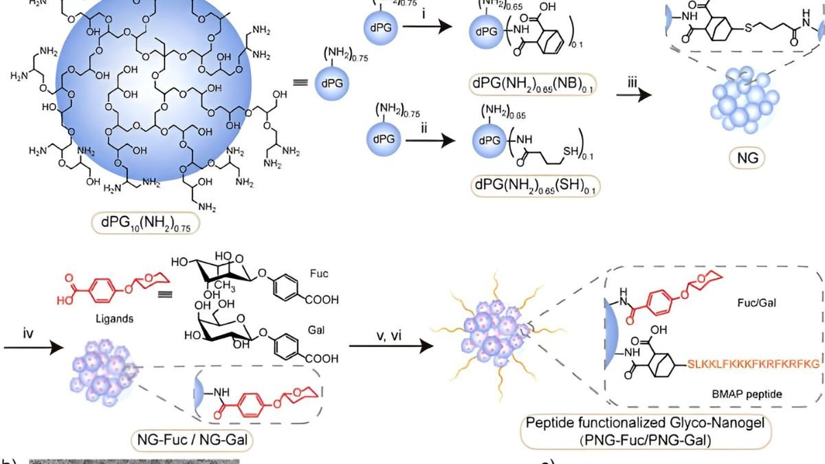 nanogel technology, drug-resistant bacteria, medical nanogel, antibiotic resistance, bacteria-killing nanogel, health tech innovations, nanotechnology medicine, superbug research, new medical breakthroughs, bacterial infection treatment,